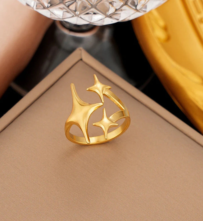 Segal anti tarnish ring