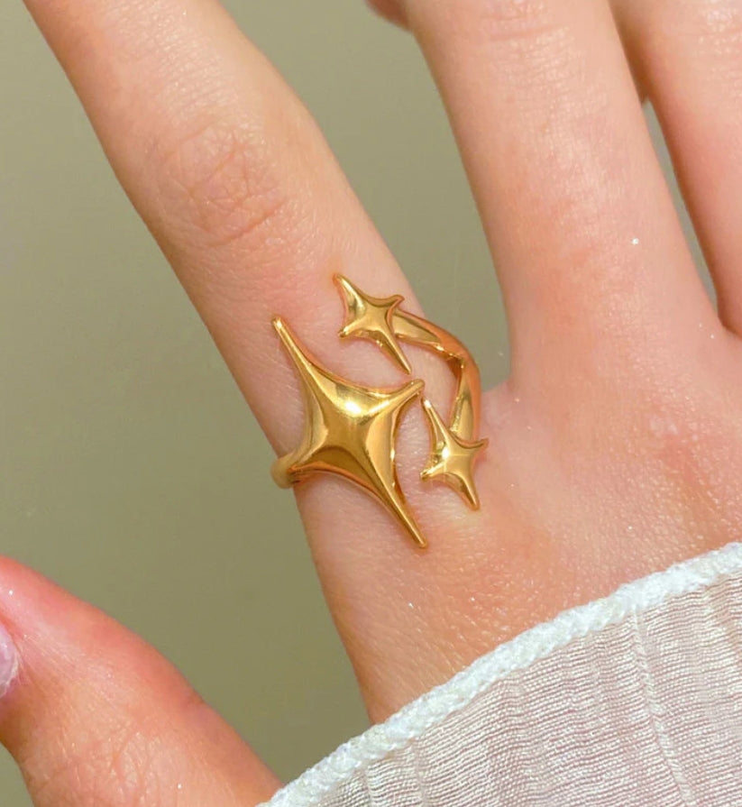 Segal anti tarnish ring